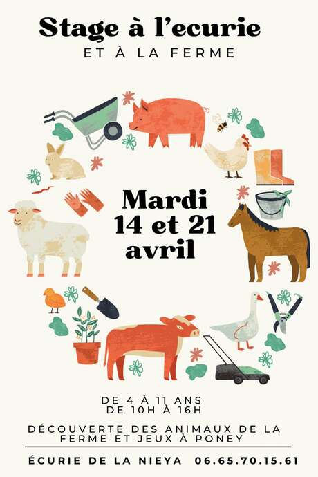 Stable and farm internship