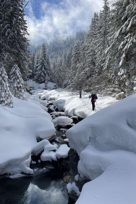 Snowshoe hike and avalanche transceiver training
