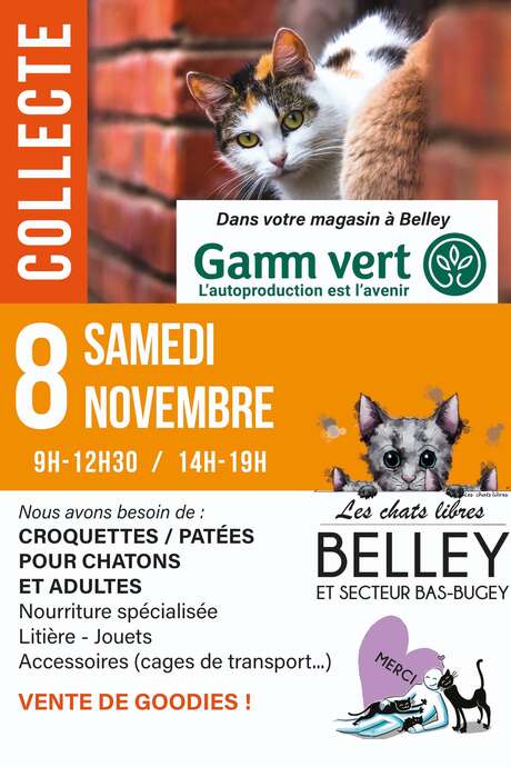 Collecte de nourriture et objets pour chatons et chats