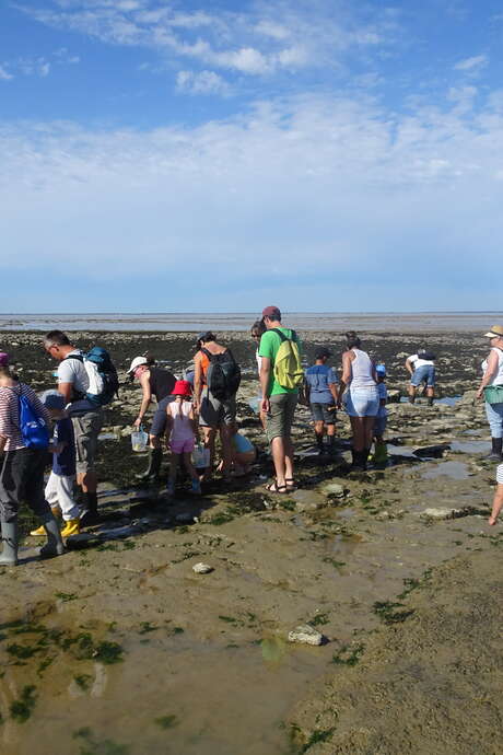 Instant Famille : Sortie pêche à pied en famille