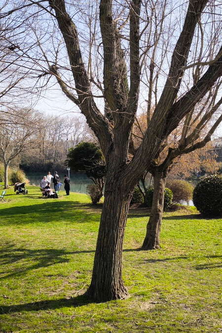 Balade Natura 2000 : à la découverte des lônes