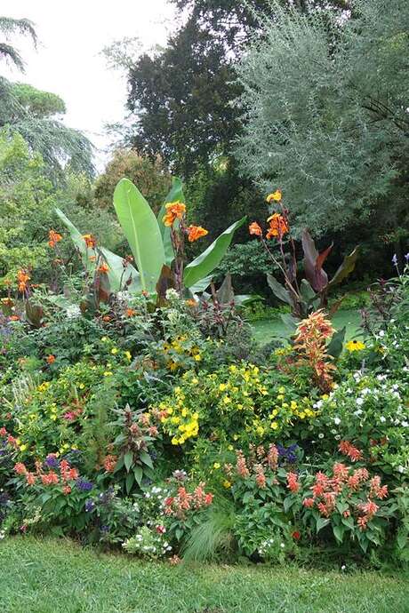 Le Jardin des Plantes