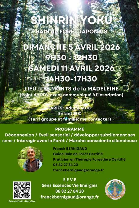 Shinrin yoku bain de forêt japonais