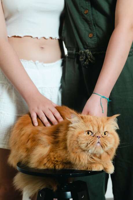 Village Charlot : Laura Lafon en résidence de création