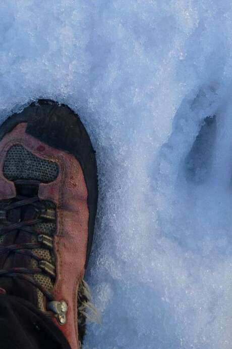 Atelier traces du Parc national des Ecrins