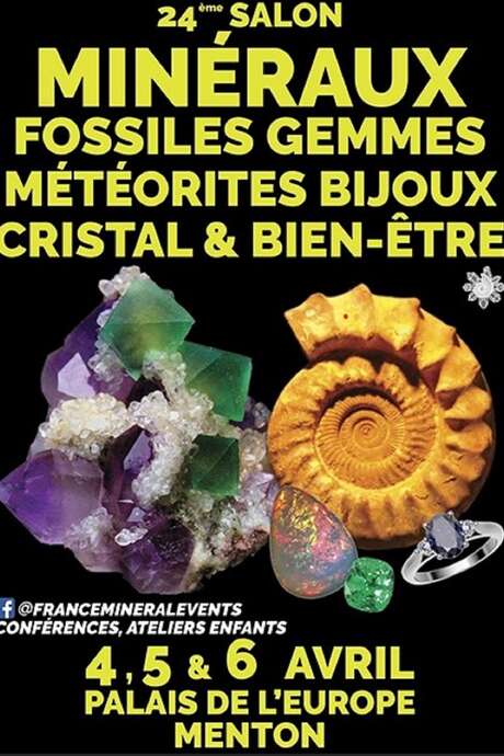 24ème salon des minéraux