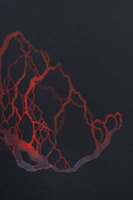 Bobok - Deuxième projection