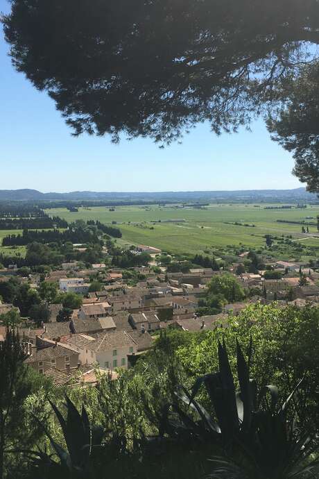 Balade du Primeur