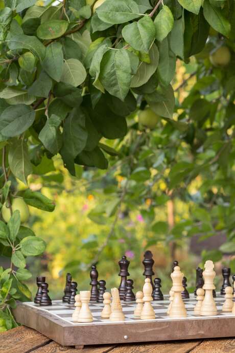 Village Charlot : soirée spéciale tournoi d’échecs