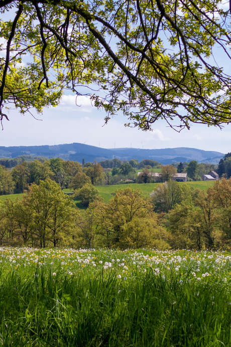 Randonnée gourmande chez un héliciculteur local à Nizerolles