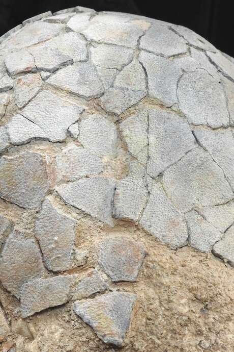 Visita guidata al Museo della Preistoria Regionale di Mentone Visita guidata al Museo della Preistoria Regionale di Mentone