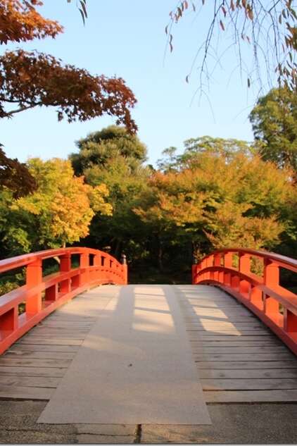 Atelier chant prénatal/postnatal