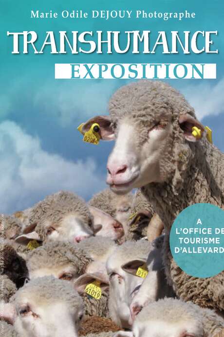 Exposition Transhumance