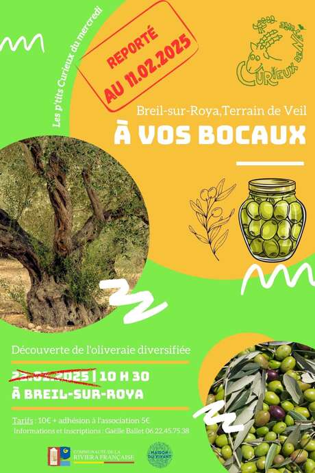 Entdeckungsworkshop für Naturinteressierte: An die Gläser, fertig, los!