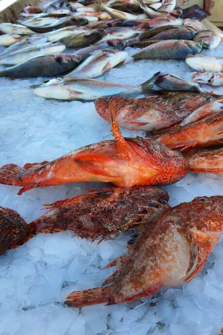 Fischmarkt