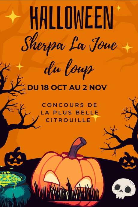 Concours de décoration de citrouilles