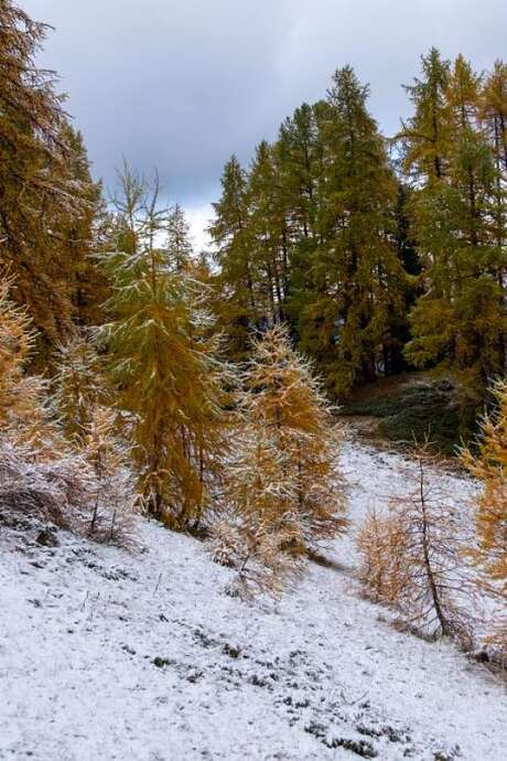 Ciné Vallouise : En attendant la neige