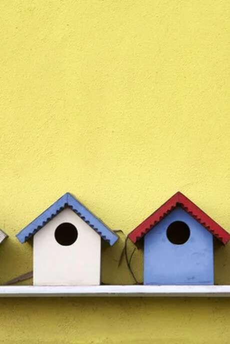 Atelier décoration de minis-nichoirs