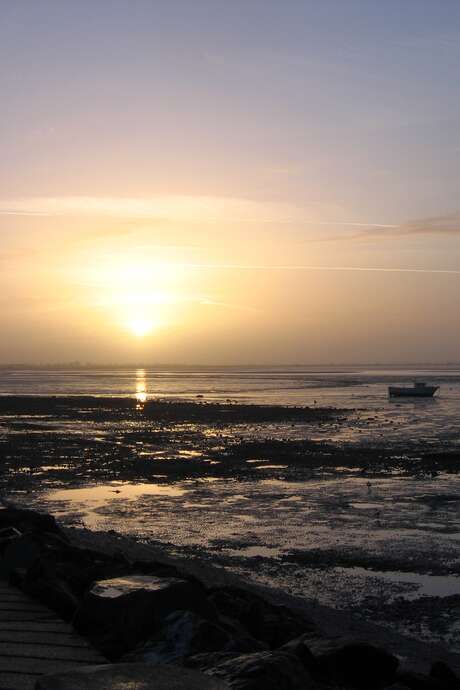 Le crépuscule sur la réserve naturelle