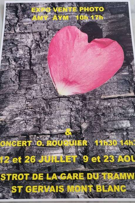 EXPOSITION - AMY AYM