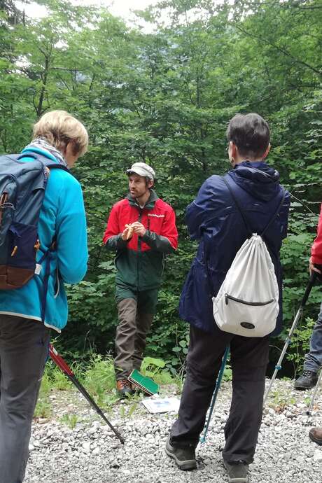 Balade-découverte de la Réserve Biologique Intégrale de la Griffe du Diable