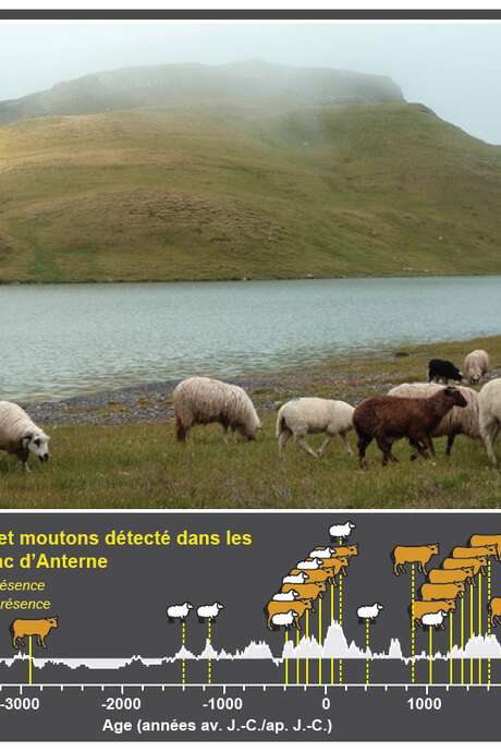 Lecture "Journey to the heart of the lakes and mud in search of the origins of Alpine farmers"