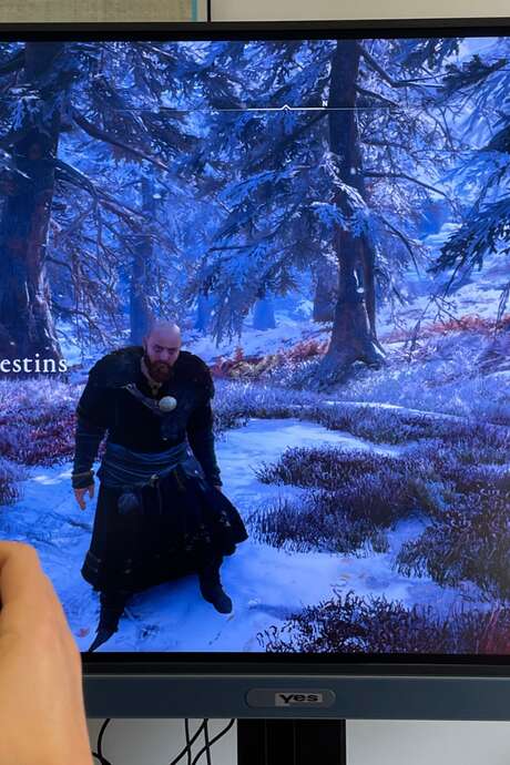 Atelier numérique : Viking