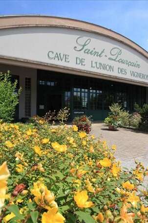 Excursion touristique "Petits matins Grands crus" Excursion touristique "Petits matins Grands crus"