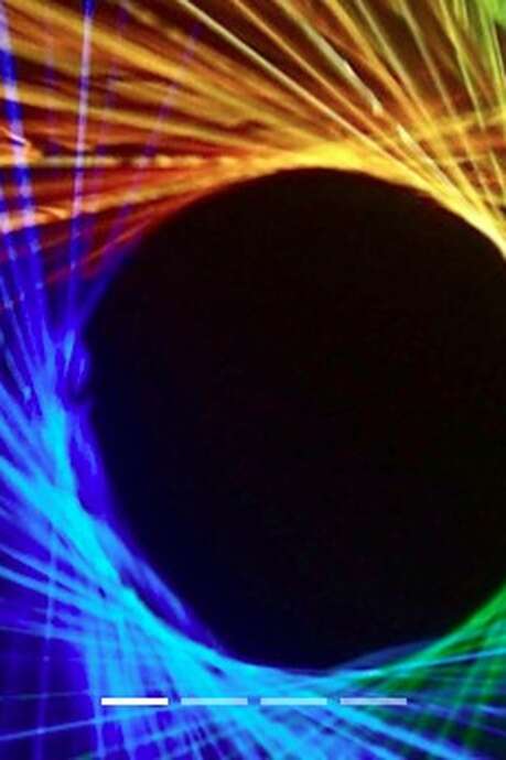 De l’ombre à la lumière