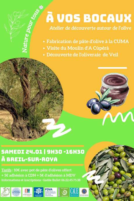 Entdeckungsworkshop für Naturinteressierte: An die Gläser, fertig, los!