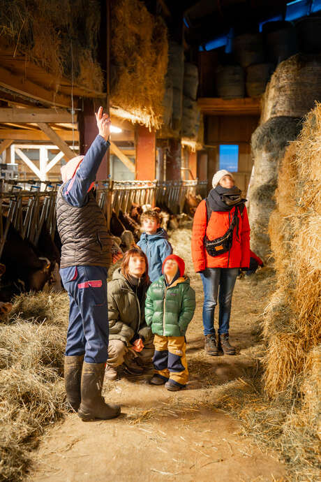 Visite guidée d'une ferme de montagne