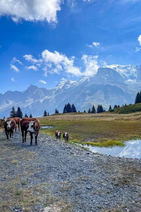 Le Tour de la Tête de Charme au départ du col de Voza