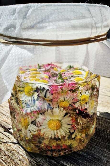 Workshop sulle piante medicinali - Festival del Cinema Naturalistico