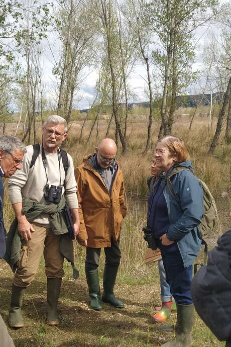 Balade découverte de la zone humide du Planas à Pujaut