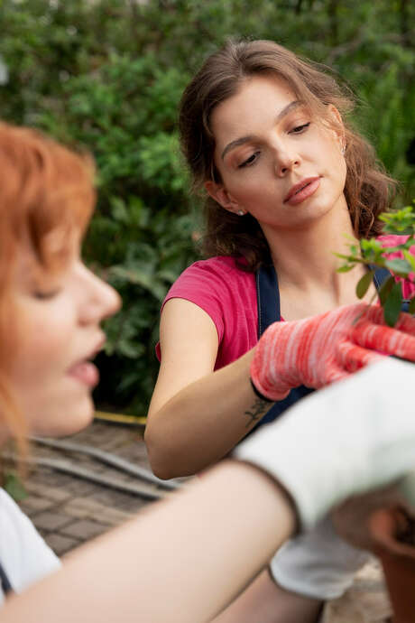 Atelier jardin : de la graine à la bouture