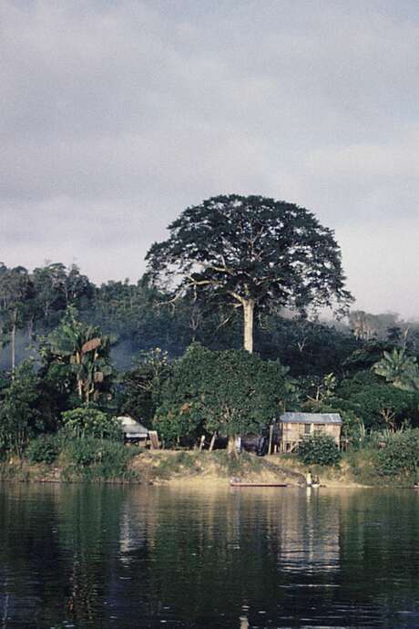 Exposition «Le Grand Fleuve»