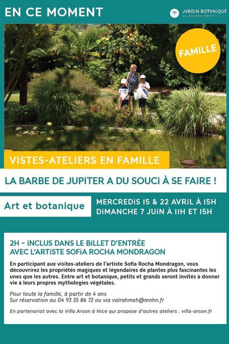 Visite-atelier famille au Val Rahmeh : la Barbe de Jupiter a du Souci à se faire !