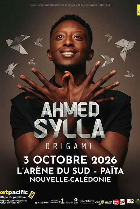 Ahmed Sylla "Origami"