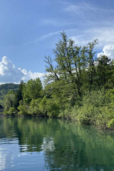 Croisière pique-nique