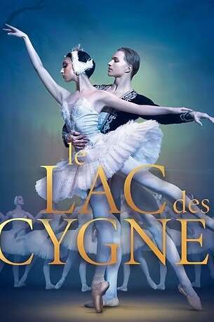 Der Schwanensee Der Schwanensee