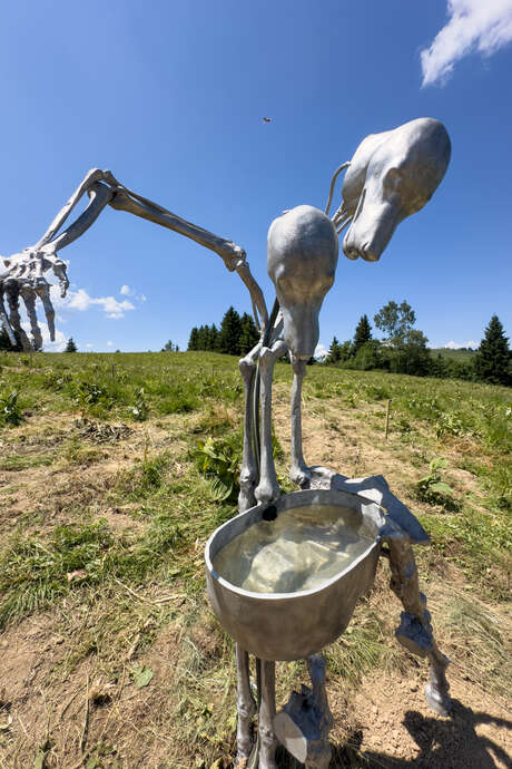 Sculpture de Guilia Cenci - Biennale Artocène