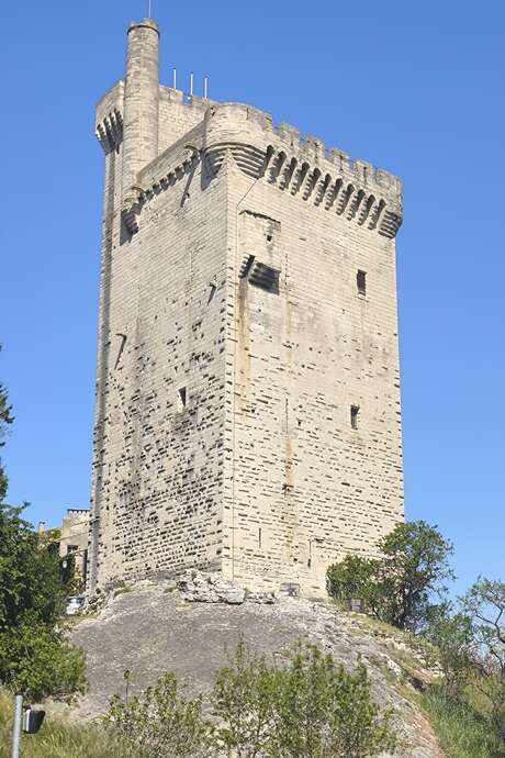 Il était une fois Villeneuve lez Avignon : un roi, une tour, une histoire