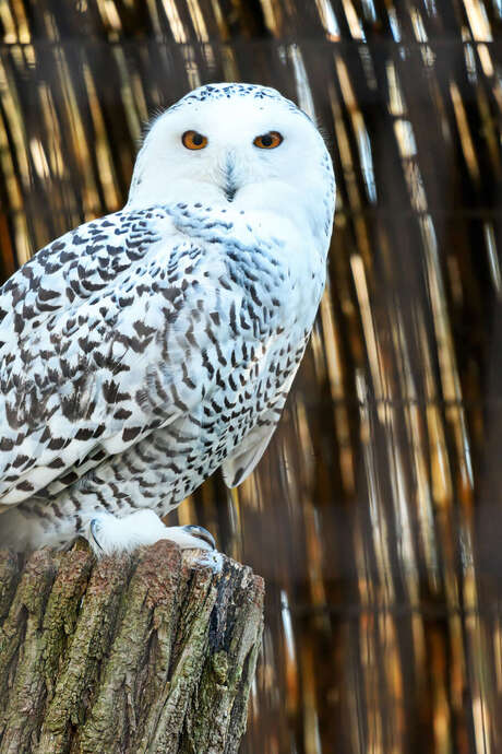 Parcours en famille pour les vacances de printemps au Jardin botanique Val Rahmeh-Menton