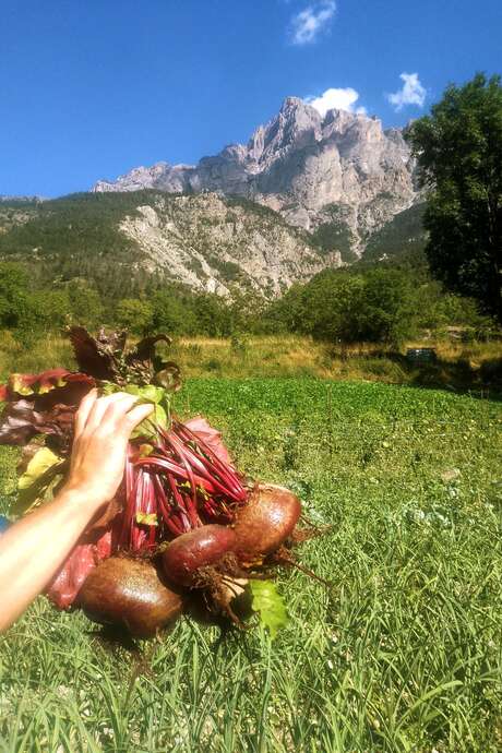 Les Coulisses des Écrins : Les jardins de Florette