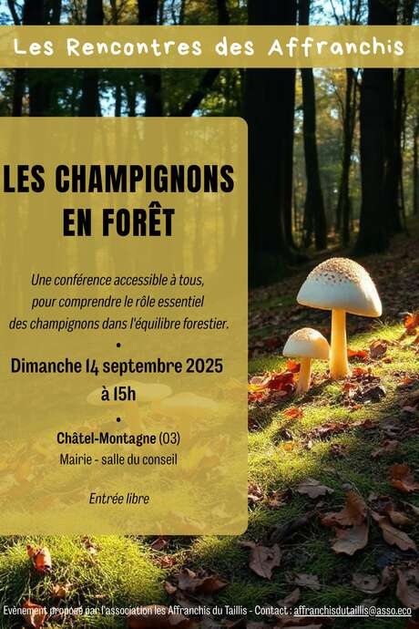 Les Rencontres des Affranchis - Les champignons en forêt
