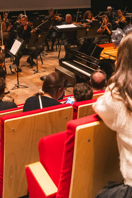 La princesse moche - conte musical