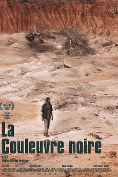 Il mio giovedì al cinema - LA COULEUVRE NOIRE