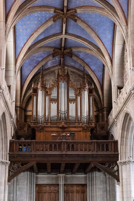Les Orgues de la Cathédrale
