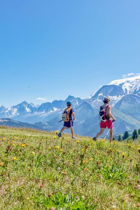 Mont Joux en passant par la Crête du Mont d'Arbois