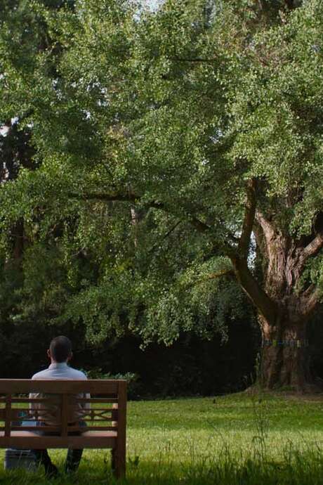 Cinéma : Silent Friend